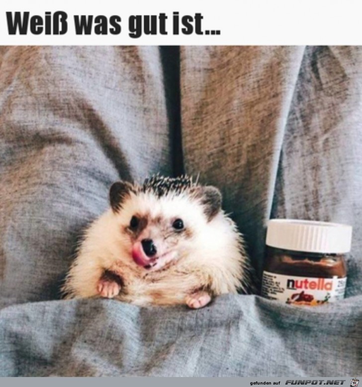 Leckere Nutella