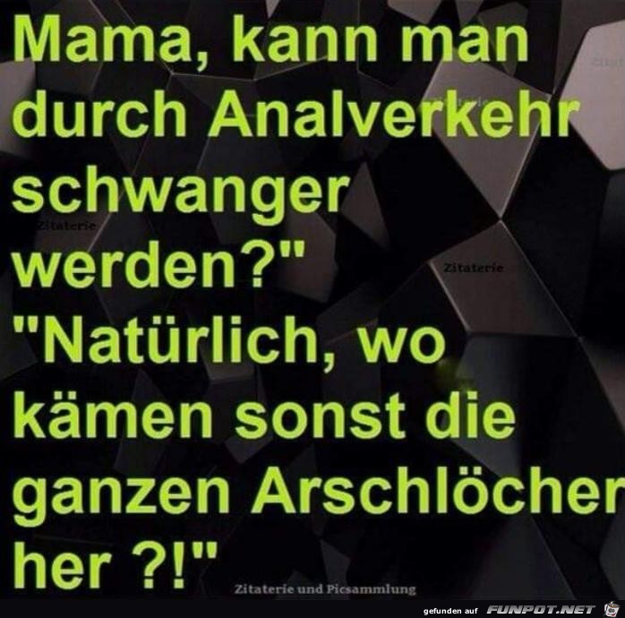 Analverkehr