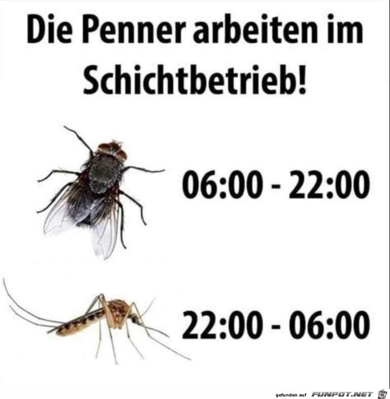 Die Penner arbeiten