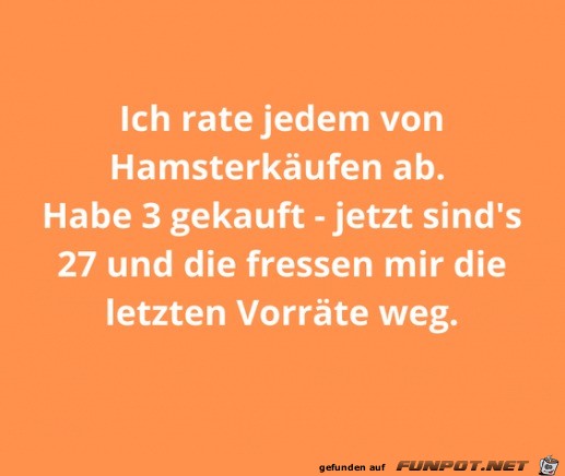 Ich rate von Hamsterkufen ab