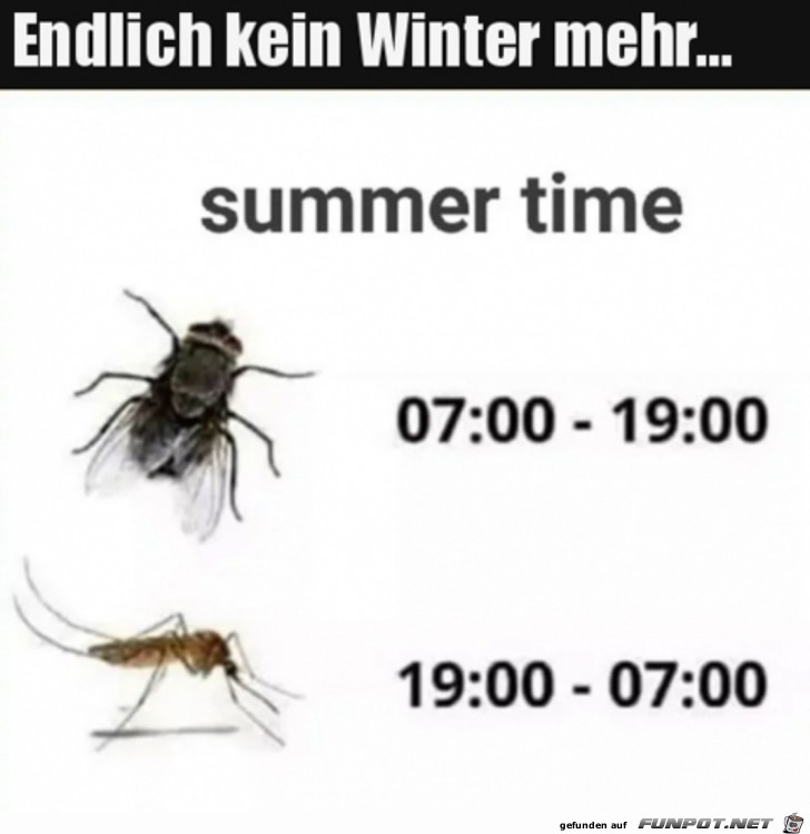 Endlich Sommer