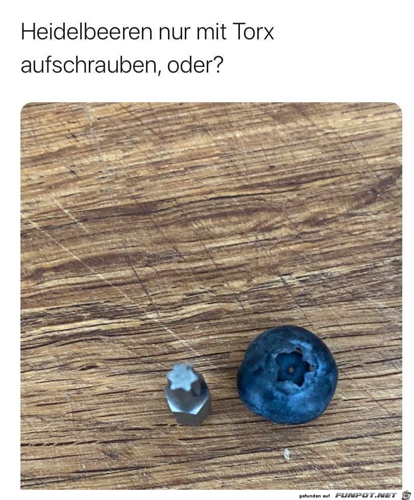 Sieht nach Torx aus