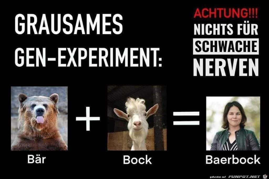 Experiment Experiment