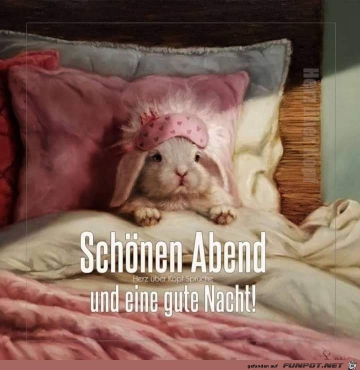 gut Nacht