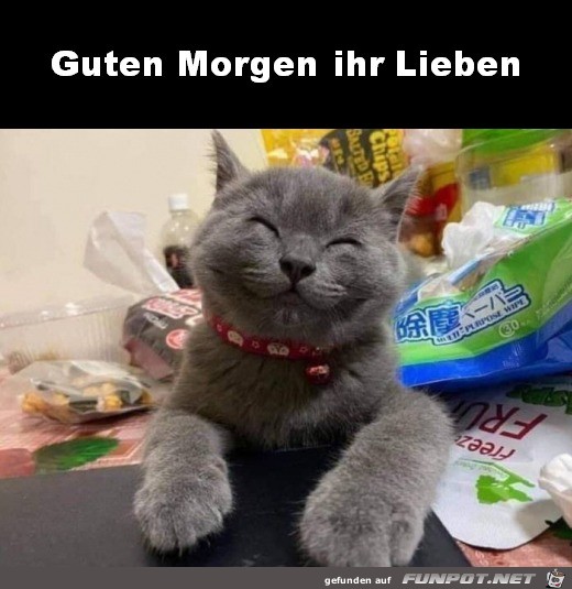 Guten Morgen