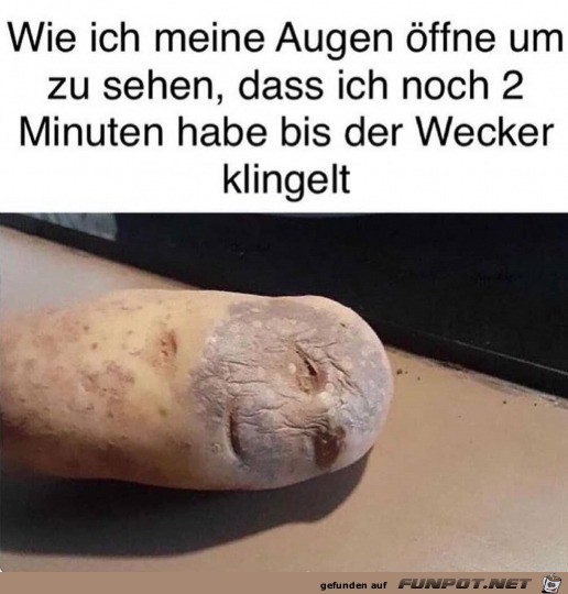 witzige Bilder aus verschiedenen Blogs