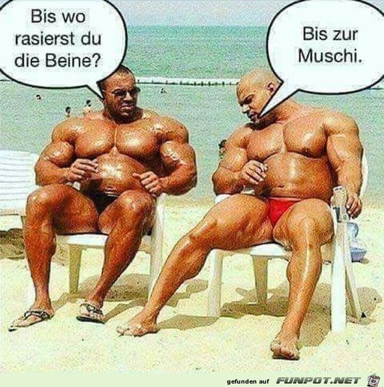 Bis zur Muschi