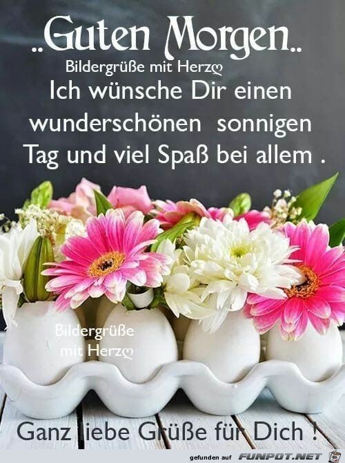 Guten Morgen Bildergruesse