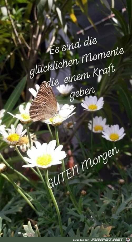 Es sind die gluecklichen Momente