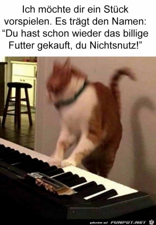 Das billige Futter gekauft