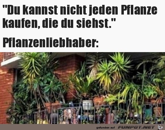 Jeder Pflanzenliebhaber