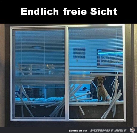 Freie Sicht geschaffen