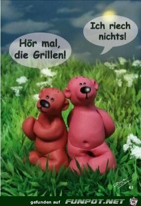 Hr mal , die Grillen 