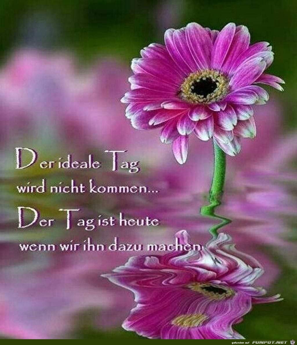 Der ideale Tag