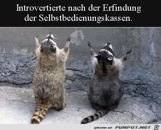 Die Introvertierten