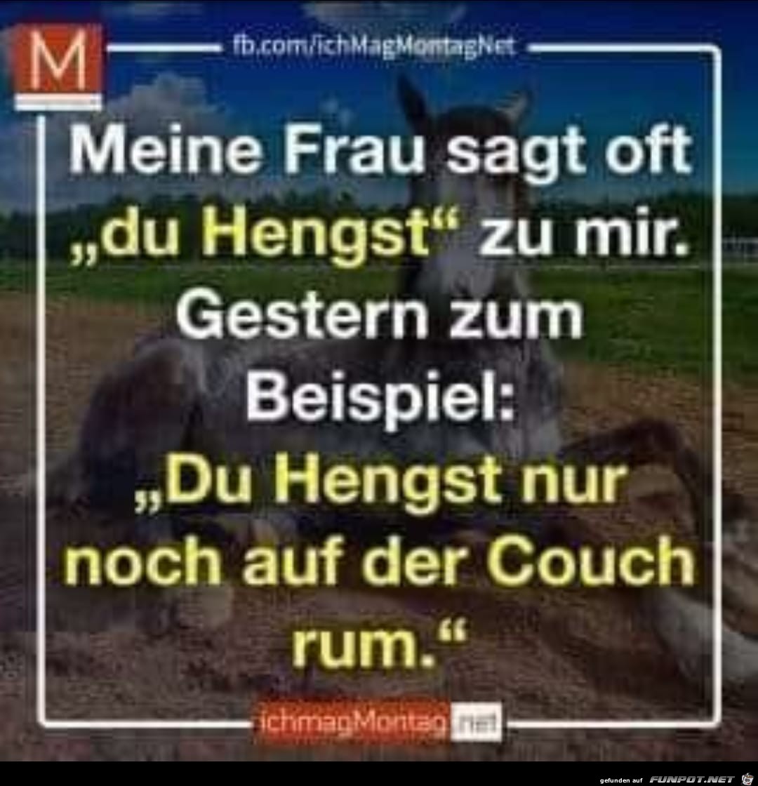 Du Hengst Du Hengst