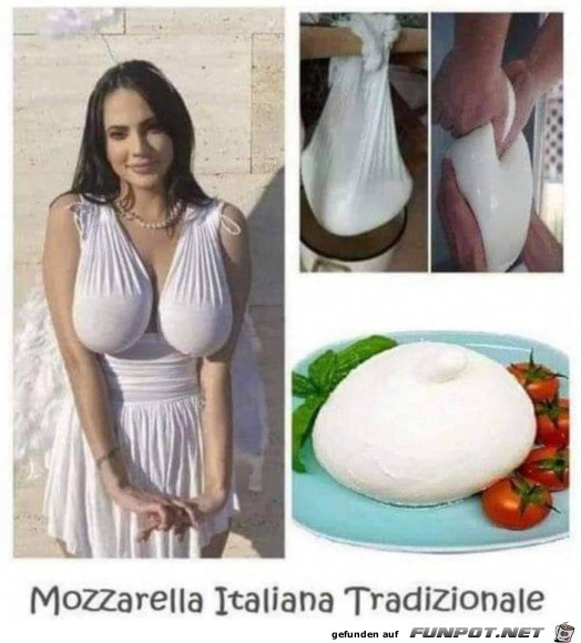 Italienischer Mozzarella