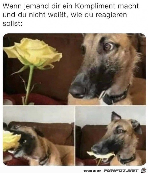 Oh ein Kompliment