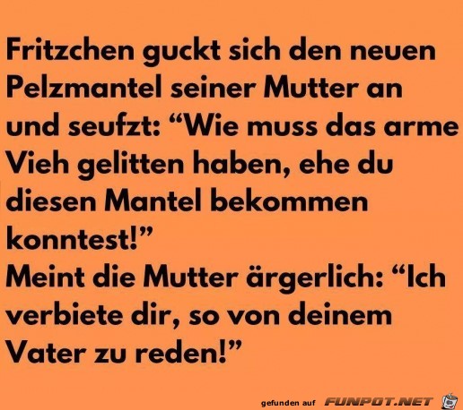 Neuer Pelzmantel