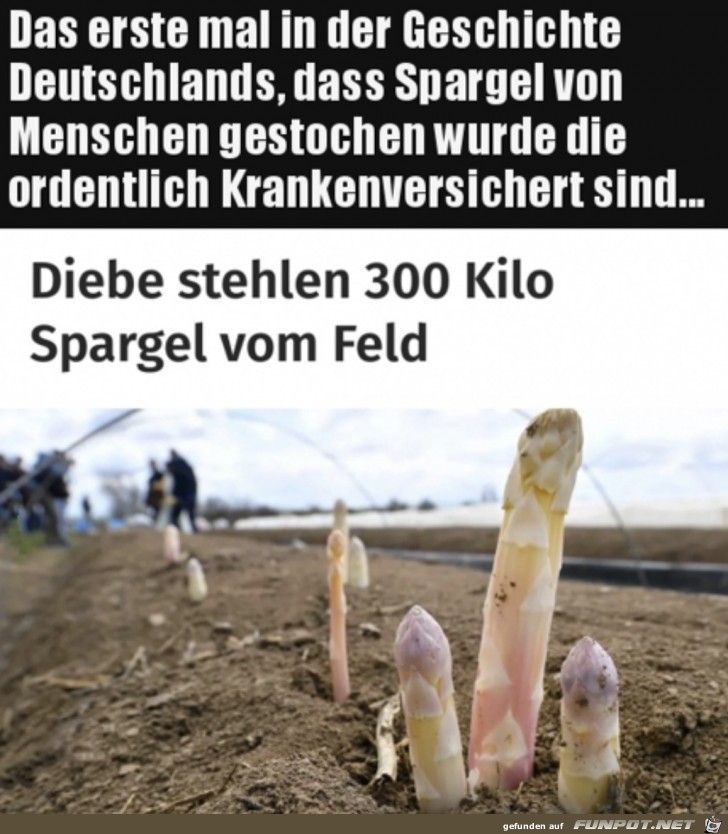 Spargel geklaut