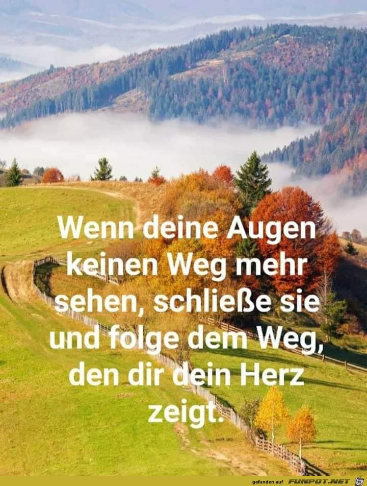 Wenn deine Augen keinen Weg mehr sehen