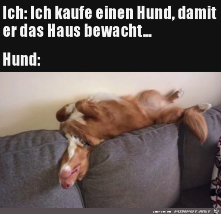 Super Wachhund