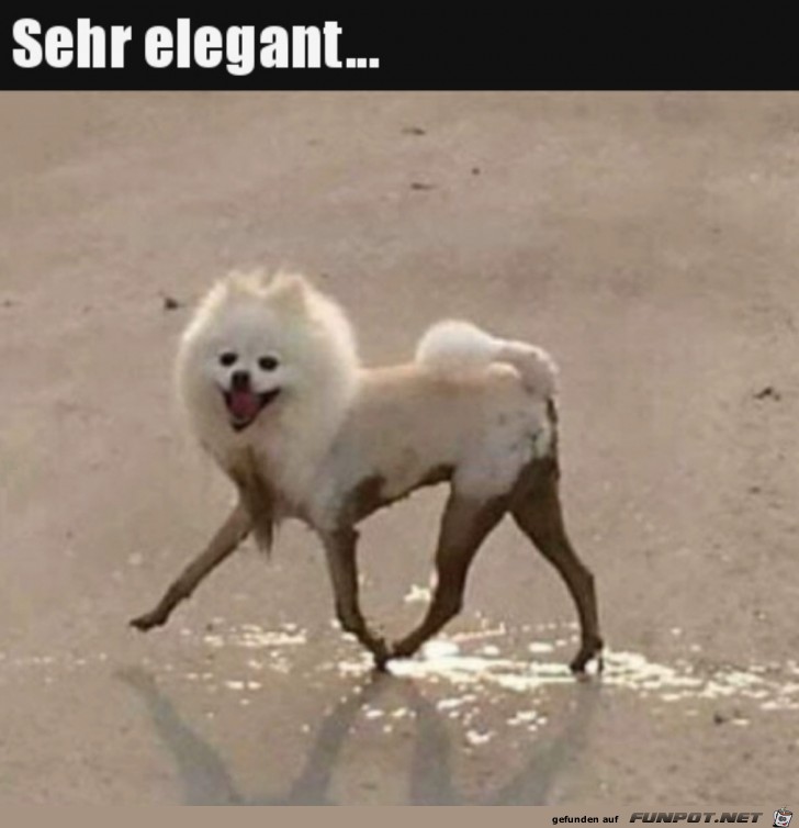 wie elegant