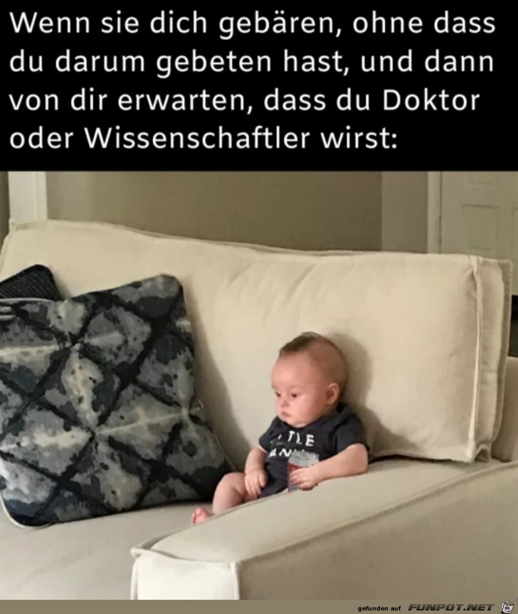 Was alles erwartet wird