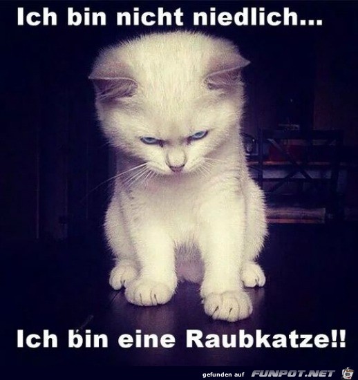 Ich bin eine Raubkatze