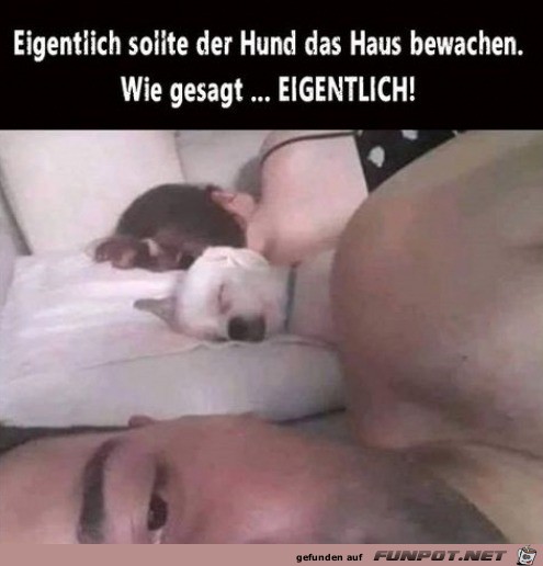 Super Wachhund