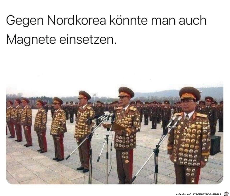 Gegen Nordkorea