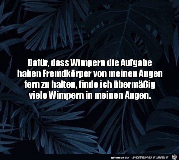 Die Wimpern