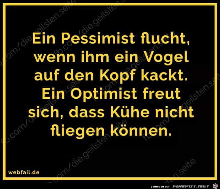 Optimist Optimist