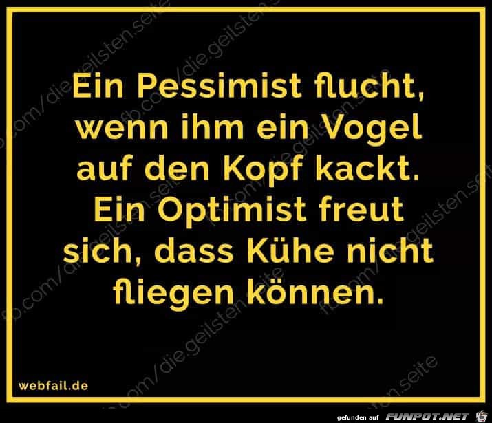 Optimist