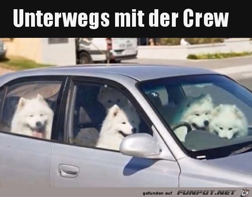 Mit den Kumpels unterwegs