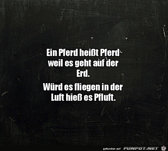 Fliegt ein Pferd in der Luft