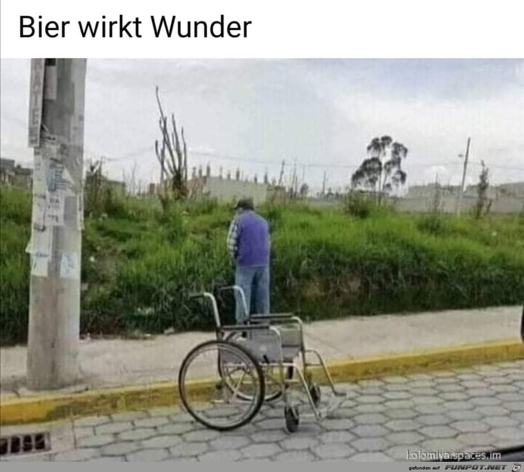 Wunder