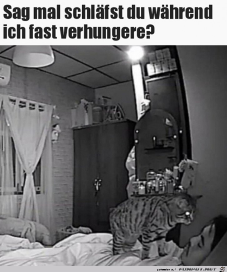 Ich verhungere fast