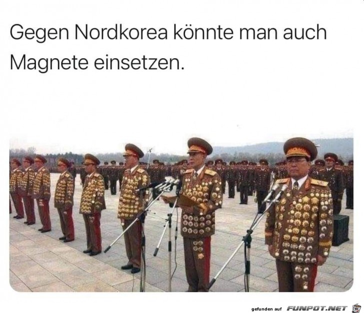 Gegen Nordkorea