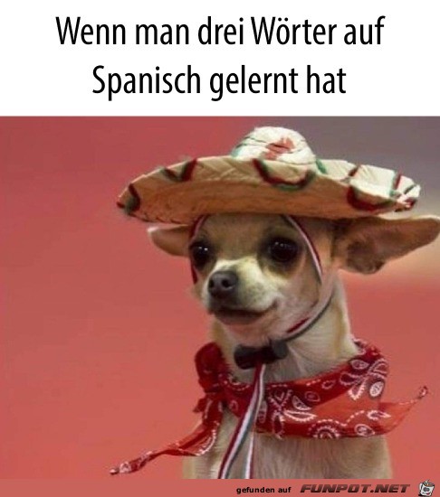 Drei Worte Spanisch gelernt