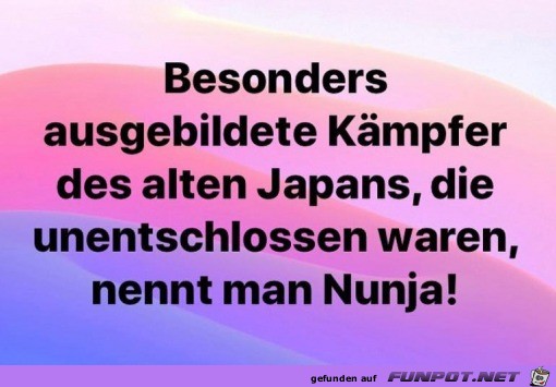 Der Nunja