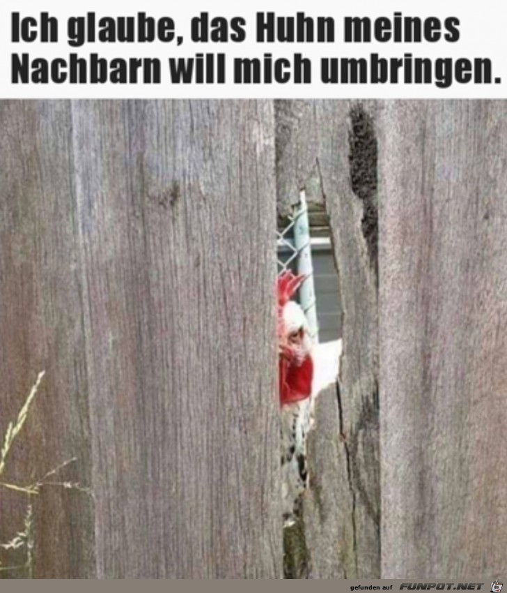 Gefhrliches Huhn