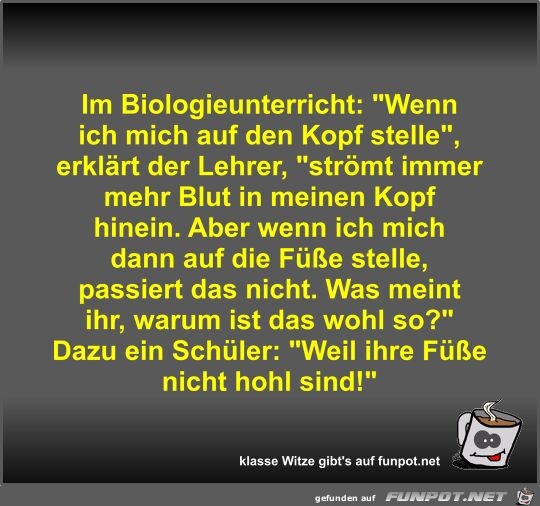 Im Biologieunterricht