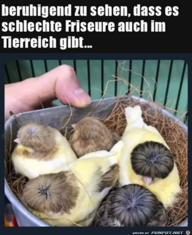 Schlechter Friseur