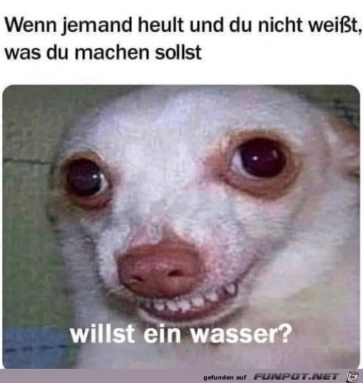 Willst du ein Wasser?