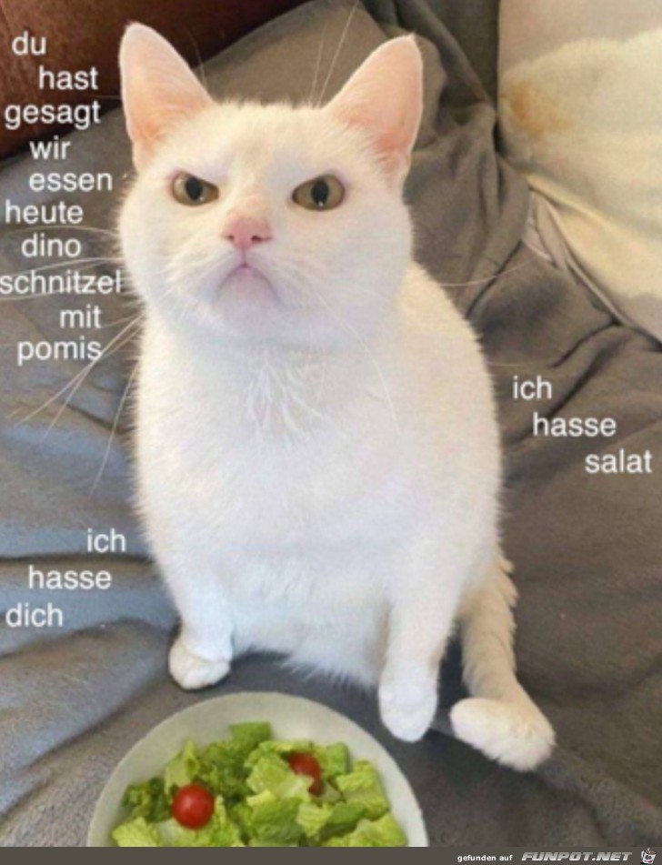 Ich hasse Salat