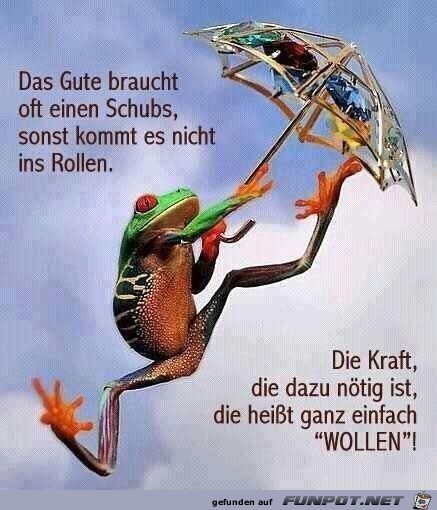 Das Gute brauht of einen Schubs