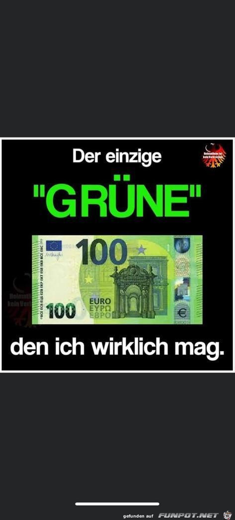 der einzige Gruene