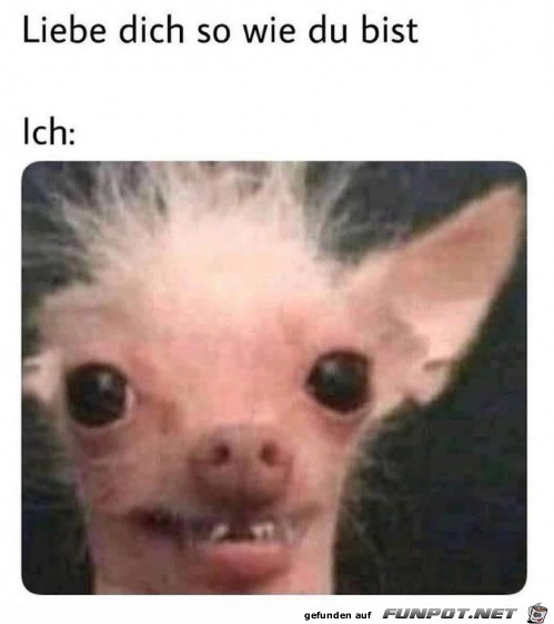 Was fr ein Kompliment