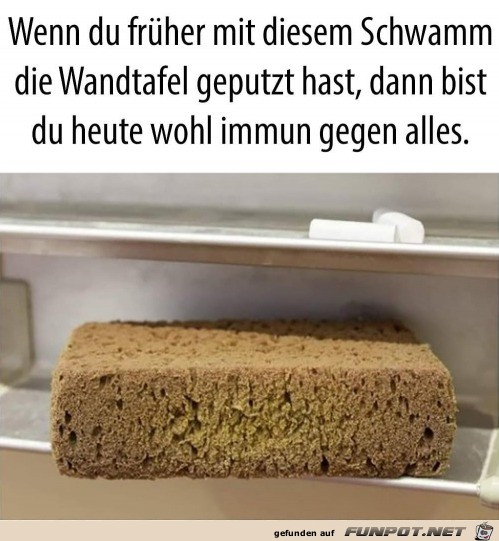 Der ekelhafte Tafelschwamm von frher